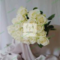 Gambar bunga rose avalanche putih dari gadisflorist undefined 1 Tokopedia