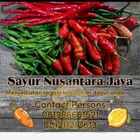 Gambar Mangga muda - 500 Gr dari SAYUR NUSANTARA JAYA undefined 2 Tokopedia