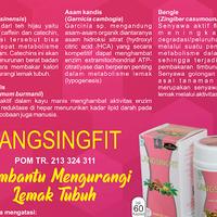 Gambar LANGSINGFIT obat diet herbal dari FZ acc shop undefined 5 Tokopedia
