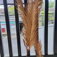 Gambar daun sikas kering warna gold mawar jambe panjang 70 - 80 cm dekorasi Hiasan Emas dari bellapartystore undefined 1 Tokopedia