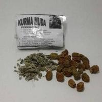 Gambar ' KURMA MUDA KERING PLUS DAUN MARMIA ' dari toko halsa undefined 3 Tokopedia