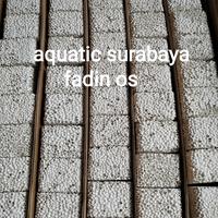 Gambar Bio Cube Bio Porous Media Filter Aquarium Rumah Bakteri dari FADIN OS_NEW undefined 2 Tokopedia