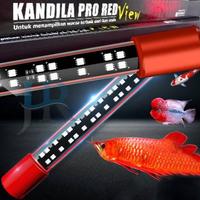 Gambar Lampu LED aquarium Kandila pro red view arwana louhan koki 100 120 cm - Pro 1000 dari JR Store aquarium undefined 1 Tokopedia