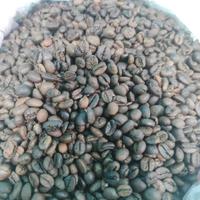 Gambar Biji Kopi Bubuk Robusta Lampung ASLI - 500 G, Kasar dari ALKESKU DOT_COM undefined 4 Tokopedia