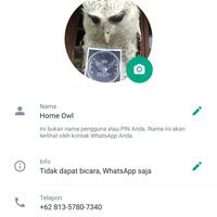 Gambar PROMO BELIBIS BURUNG BLIBIS AVIARY whistling duck bkn paruh merah dari Home Owl Aviary undefined 3 Tokopedia