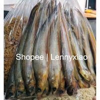 Gambar Ikan Lais Besar Balor Asin Kering Kalimantan dari dry foodshop undefined 1 Tokopedia
