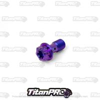 Gambar BAUT BANJO TITANIUM GR5 BERBAGAI WARNA dari Titanpro Indonesia undefined 3 Tokopedia