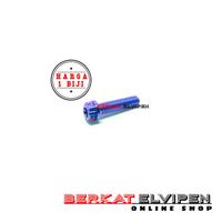 Gambar Baut Titanium Gear Head M5x20 Drat 8 Panjang 20mm 2cm Gr5 - Silver dari Berkat_Elvipen undefined 2 Tokopedia