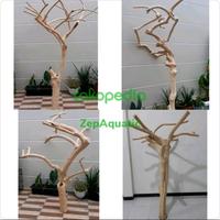 Gambar READY-TANGKRINGAN KAYU KOPI UNTUK TANGKRINGAN PARROT REPTIL TINGGI 1m dari ZepAquatic undefined 1 Tokopedia