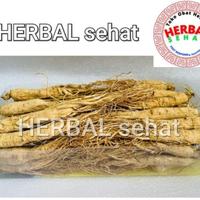 Gambar 100gram Akar Ginseng Cina Utuh Sheng Shai Ren Shen Fresh Original dari Herbal Sehat 18 undefined 4 Tokopedia