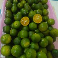 Gambar jeruk kunci/jeruk kasturi/lemon cui/5kg dari Khas-indonesia undefined 2 Tokopedia