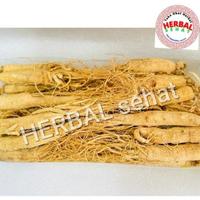 Gambar 100gram Akar Ginseng Cina Utuh Sheng Shai Ren Shen Fresh Original dari Herbal Sehat 18 undefined 2 Tokopedia