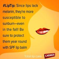 Gambar CARMEX LIP BALM - MEDICATED 7,5GR dari Hello Life Store undefined 3 Tokopedia