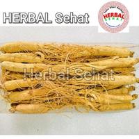 Gambar 100gram Akar Ginseng Cina Utuh Sheng Shai Ren Shen Fresh Original dari Herbal Sehat 18 undefined 3 Tokopedia