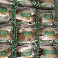 Gambar Jamur Jumbo Mushroom King Oyster - Per Kotak Isi 15 Pack - Mini 30 Pack dari Dytop Fresh undefined 5 Tokopedia