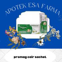 Gambar Promag Liquid Cair Obat Sakit Maag Isi 6 Sachet dari Apotek Esa Farma undefined 1 Tokopedia