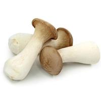 Gambar Jamur Jumbo Mushroom King Oyster - Per Kotak Isi 15 Pack - Mini 30 Pack dari Dytop Fresh undefined 3 Tokopedia
