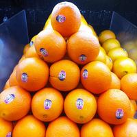 Gambar JERUK SUNKIST CARA-CARA USA 1 KG dari OEMAH BUAH ALIFA undefined 2 Tokopedia