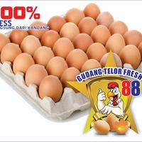 Gambar Telor Ayam Negeri Fresh per 4kg ( wajib gojek dan grab ) dari Gudang Telor Fresh 88 undefined 1 Tokopedia
