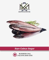 Gambar Ikan Gabus - 1 kg dari MANTRA KHATULISTIWA DEPOK undefined 1 Tokopedia