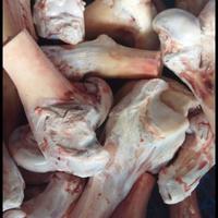 Gambar tulang sumsum sapi dari litasupliyer beef undefined 1 Tokopedia