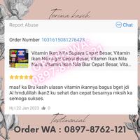 Gambar Obat Penggemuk Ikan Lele, Reaksi Panen Tercepat !! FULL ORGANIK dari JURAGANTARUNG undefined 3 Tokopedia