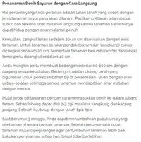 Gambar Bibit Buncis Biji Putih / Benih Sayuran dari Kollektiv Market undefined 2 Tokopedia