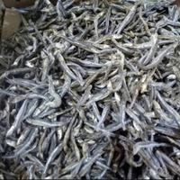 Gambar Ikan Asin Teri Cue 100gr - Hitam, 100gr dari Almairastore2 undefined 1 Tokopedia