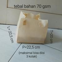 Gambar Tas Spunbond / Goodie Bag Tebal Untuk Box Nasi/Hajatan/Hampers/Promosi - HijauMuda22X22 dari QnP.shop undefined 5 Tokopedia