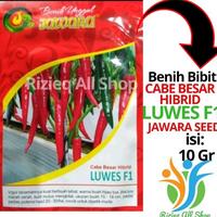 Gambar PROMO Benih bibit Cabe Merah Besar Hibrida Luwes F1 10 gram dari dari Nikatsum undefined 1 Tokopedia