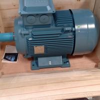 Gambar ABB Electric motor / Dinamo motor 40HP/30KW 2POLE 380V B3 dari ALVAMAS TEKNIK MART 2 undefined 3 Tokopedia