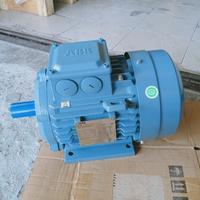 Gambar ABB Electric motor / Dinamo motor 40HP/30KW 2POLE 380V B3 dari ALVAMAS TEKNIK MART 2 undefined 2 Tokopedia