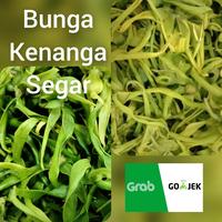 Gambar bunga kenanga asli & segar dari Love Cimochi undefined 1 Tokopedia