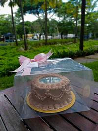 Gambar cake mirror cake kaca birthday cake cake ulangtahun kuekaca c - D10 dari Gaby Bella Florist undefined 2 Tokopedia