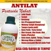Gambar Pestisida Organik Obat Hama Padi cabe Mengatasi Hama Wereng Coklat dari rosvro undefined 1 Tokopedia