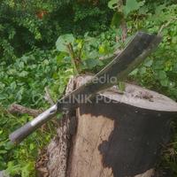 Gambar Golok Kerja, Berkebun, Serbaguna Parang Panjang Per Baja Per ±45cm dari panca tani_NEW undefined 2 Tokopedia