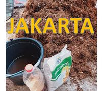 Gambar humus akar bambu, humus organik murni, super subur, metan premium, dari Asean Mt64 Bandung undefined 1 Tokopedia