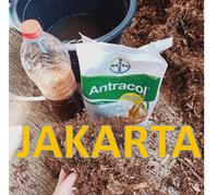 Gambar humus akar bambu, humus organik murni, super subur, metan premium, dari Asean Mt64 Bandung undefined 3 Tokopedia