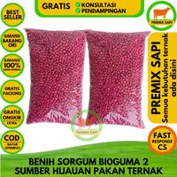 Gambar BENIH SORGUM BIOGUMA 2 KEMASAN 1 KG dari Premix Sapi undefined 2 Tokopedia