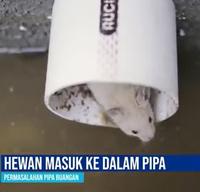 Gambar Penutup Paralon Pipa Pvc 3 inch Buka Tutup  Dop Saluran Pembuangan Air - Drain Floor dari CV Barokah Abdi undefined 4 Tokopedia