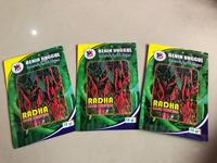 Gambar Bibit Cabe CMK RADHA 10gr isi 2.200 Butir 100% Sumatera Barat dari Masterbenih.CT undefined 3 Tokopedia