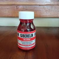 Gambar ZPT HORMON PERTUMBUHAN 250ml untuk merangsang pertumbuhan akar tanaman pupuk buah organik - Giberlin, 250 dari Alfalah store 3 undefined 2 Tokopedia