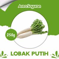 Gambar Lobak Putih Segar 250g dari Area Sayuran undefined 1 Tokopedia
