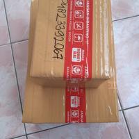 Gambar 1set indukan lobster air tawar size 5,5inc dari Trijaya lobster undefined 5 Tokopedia