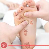 Gambar Alat Terapi Pijat Kaki EMS Electric Muscle Massager - USB dari Hilova Official undefined 4 Tokopedia