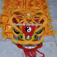 Gambar paket barongsai dan 2 celana uk 80 cm bahan dan bentuk asli barongsai dari chatrine barongsai undefined 1 Tokopedia