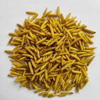 Gambar Magot kering kemasan 1kg dari industrial maggot kering undefined 1 Tokopedia