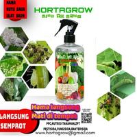 Gambar obat kutu daun,ulat daun,pembasmi hama pada tanaman hias,basmi kutu - Putih, 250 ml dari Fleopai Store undefined 1 Tokopedia