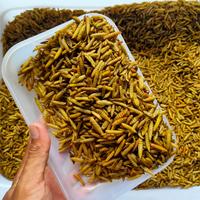 Gambar Magot kering kemasan 1kg dari industrial maggot kering undefined 4 Tokopedia