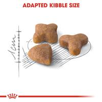 Gambar ROYAL CANIN Adult Sensible 2kg | Cat Food RC | Freshpack Fresh pack dari Semarang Pet Shop undefined 3 Tokopedia